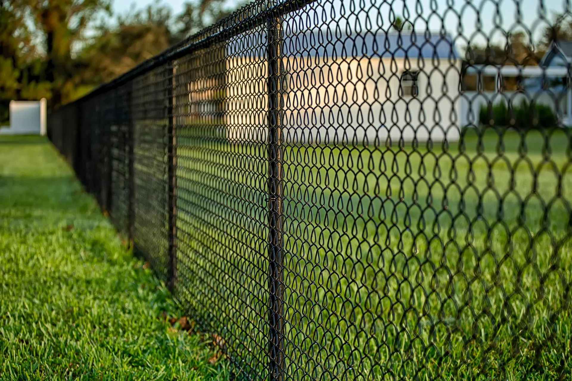 Black vinyl-coated chain link fence running along a residential property line in Plymouth, MA